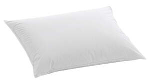 Подушка Dauny Soft Plus пуховая 50х70 см Billerbeck (А3100-Е1) Подушка Dauny Soft Plus пуховая 50х70 см Billerbeck (А3100-Е1)